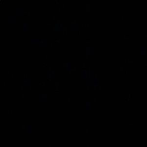 Meet your Posher, Kaylee